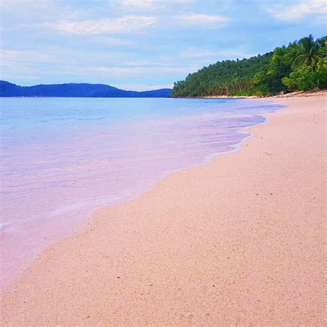 4 Must-Visit Pink Beaches in the Philippines in 2022