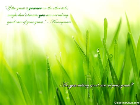 Are you taking care of your grass? | Inspirational posters, Motivational quotes wallpaper ...