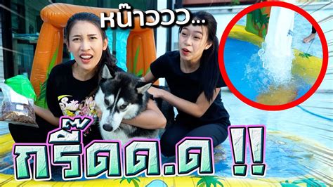 สระน้ำแข็งสุดหน๊าวว !! พี่ดรีม เออเรอร์ จะทนได้แค่ไหน - DING DONG DAD - YouTube