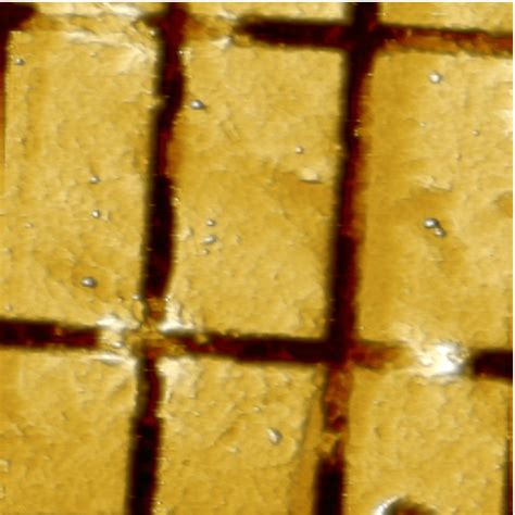 Magnetic structures of permalloy