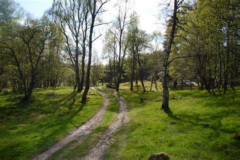 Aviemore Community Paths - Cairngorms National Park Authority