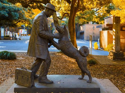 Hachiko Statue, Shibuya, Tokyo. Japan, Japan vacation, Tokyo japan