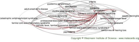 Cryopyrin-Associated Periodic Syndrome disease: Malacards - Research Articles, Drugs, Genes ...