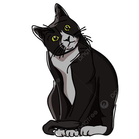 Beautiful Cat Vector Art PNG, Beautiful Black White Cat, Black, White, Cat PNG Image For Free ...