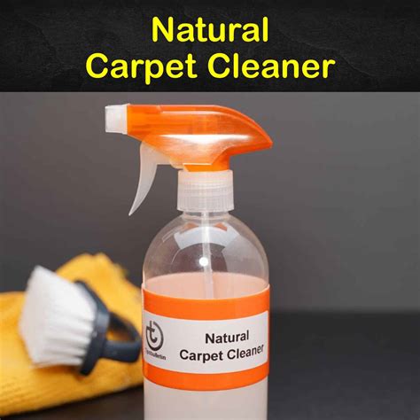 7 Simple Organic Carpet Cleaner Recipes