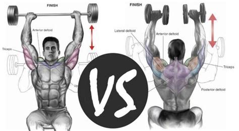 Barbell vs. Dumbbell Shoulder Press For Shoulder Development • Bodybuilding Wizard