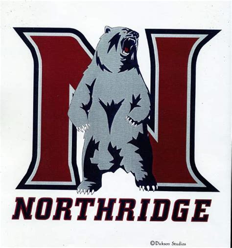 New logo, new era for Northridge High School in Greeley – Greeley Tribune