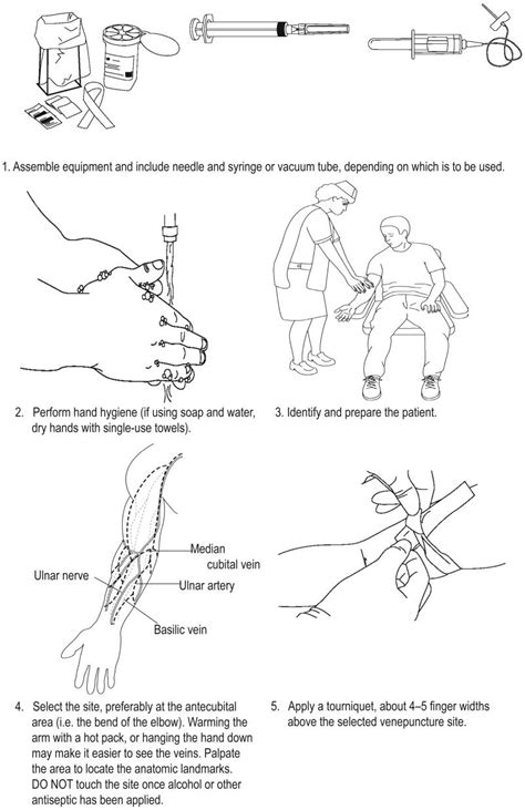 What Is Phlebotomy, Phlebotomy Study, Nursing School Studying, Medical ...