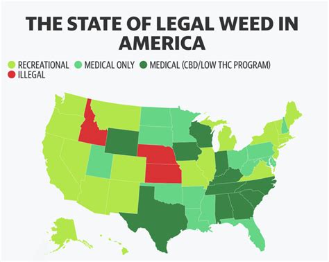 8 States That May Legalize 2024 - Angie Bobette