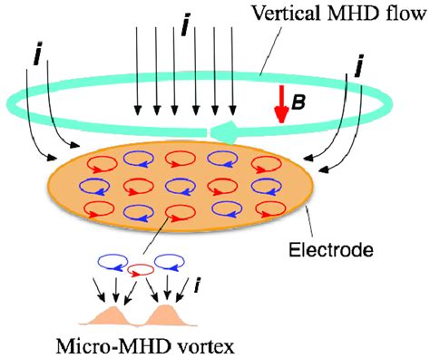 Schematic of the vertical magnetohydrodynamic (MHD) flow and the... | Download Scientific Diagram