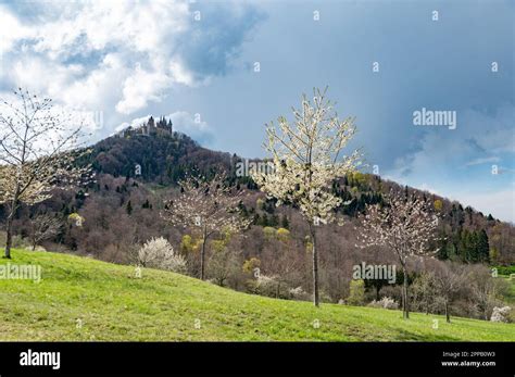 The Hohenzollern Castle, Balingen Germany Stock Photo - Alamy