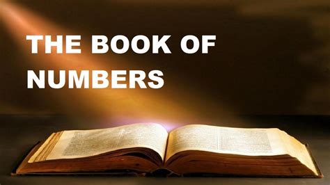 THE BOOK OF NUMBERS CHAPTER 9 VERSE 1-23 OLD TESTAMENT THE HOLY BIBLE ...