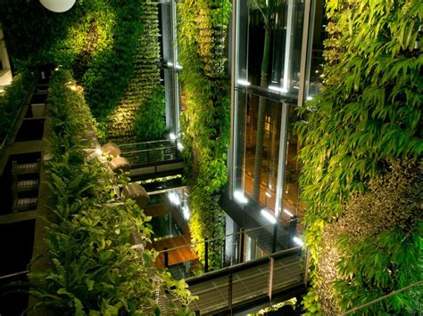 Is Biophilic Design What’s Missing in Your Office Project? | Green Roofs Australasia