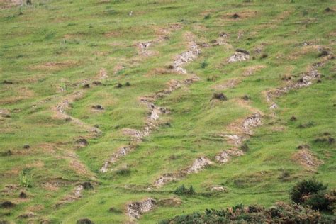 Gully erosion of loess soil, Lyttleton Harbour/Whakaraupō. | esccanterbury