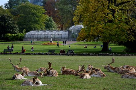 Lyon : parks, squares and play areas for happy children - Lyon Tourist Office