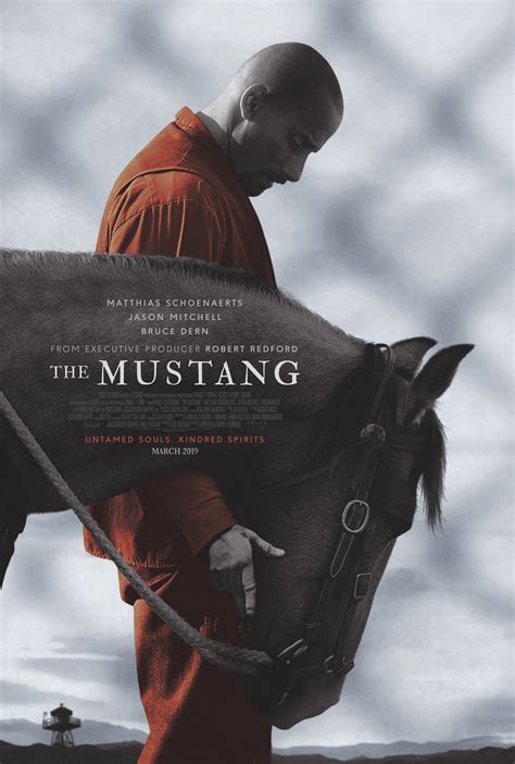 The Mustang | David Craig Movies