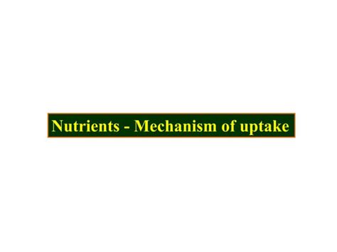 nutrient absorb.ppt