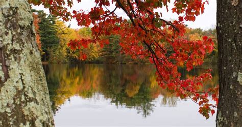 Discover the 5 Best Fall Foliage Drives in the Adirondacks