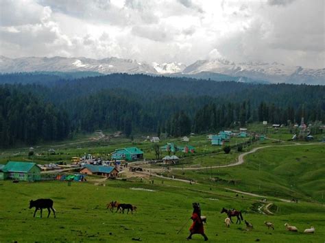 Yusmarg / Yousmarg, Srinagar - Best Season to Visit, Things to Do