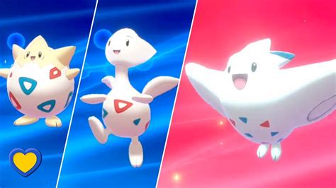 HOW TO Evolve Togepi into Togekiss in Pokémon Sword and Shield - YouTube