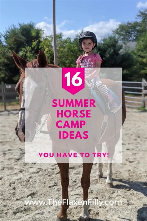 16 super fun horse camp activities your campers will love – Artofit