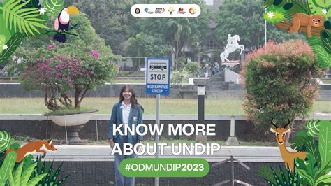 KNOW MORE ABOUT UNDIP - YouTube