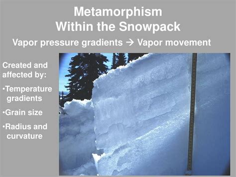 PPT - Snow Metamorphism PowerPoint Presentation, free download - ID:5322996