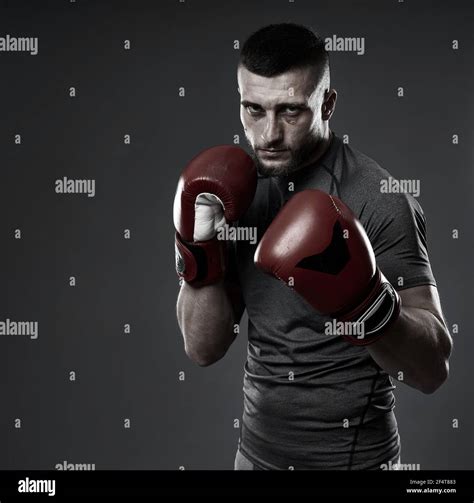 MMA fighter training, studio shot isolated on gray background Stock ...