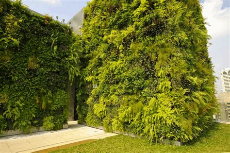 Orchard Central Mall Greenwalls - Greenroofs.com