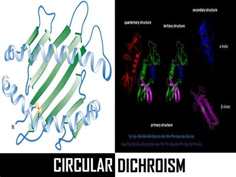 Circular Dichroism ppt,