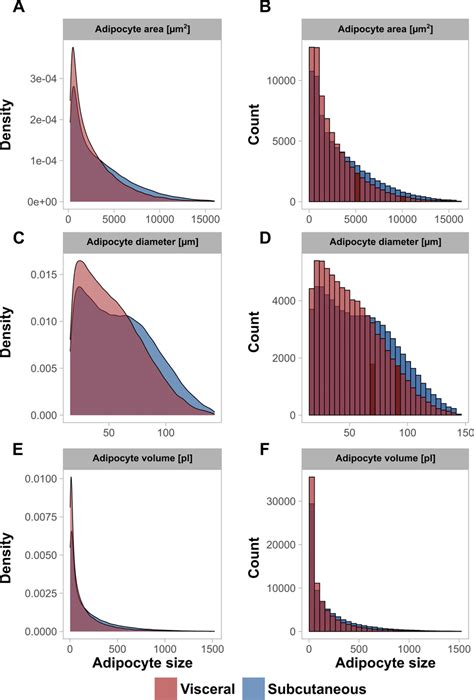 Histology-derived adipocyte size distributions for adipocyte area ...