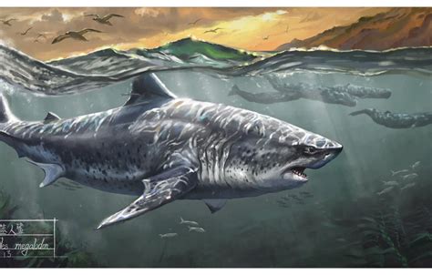 Megalodon Wallpaper