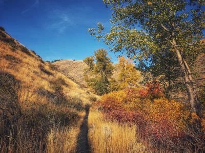 Best Hikes in Boise » Boise Trails