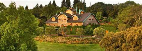 Far Niente Family Feud Ends with Winery Sale | Wine-Searcher News & Features