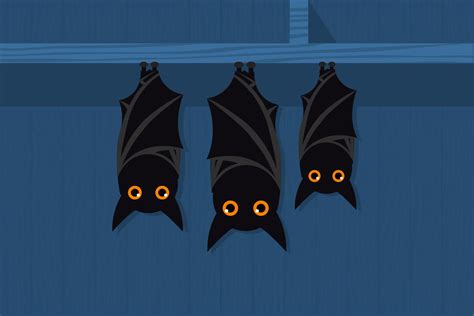 Bats - generic | This illustration shows bats hanging upside… | Flickr