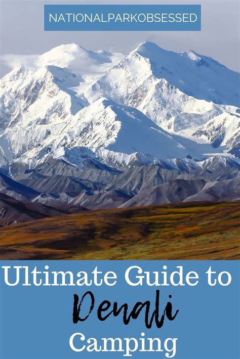 Denali National Park Camping: The Definitive Guide To Camping In Denali ...