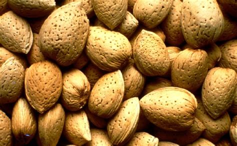 Indian almond imports to grow