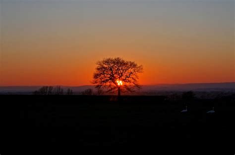 Fire orange sun in the evening free image download