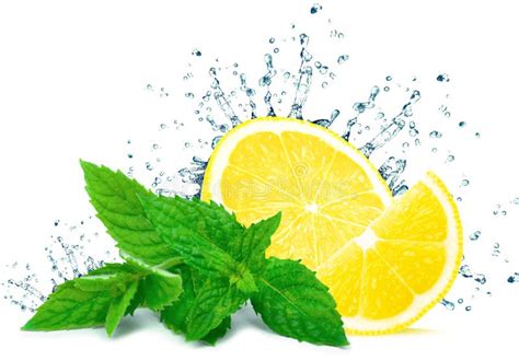 Lemon water splash stock photo. Image of herb, cocktail - 103293638