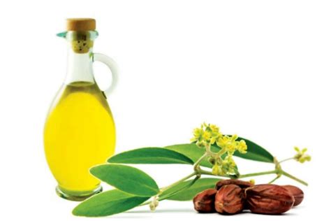 How To Use Jojoba Oil For Acne