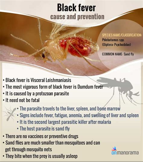 After Nipah, black fever stings Kerala; one in hospital | Blaclk fever ...