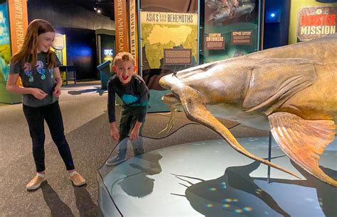 Monster Fish: In Search of the Last River Giants | The Discovery