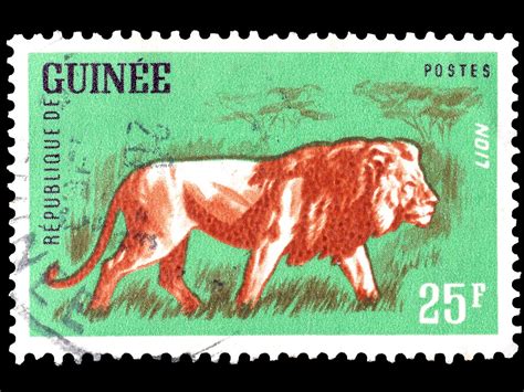 Guinea rare stamps for philatelists and other buyers ~ MegaMinistore