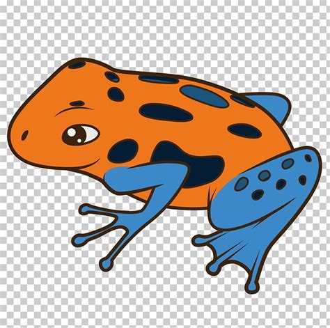 Poison Dart Frog Cartoon Illustration PNG, Clipart, Animals, Art ...