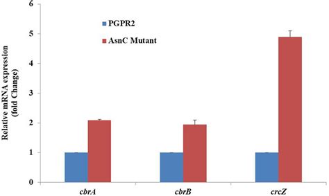 Expression profile of genes involved in carbon catabolite repression ...