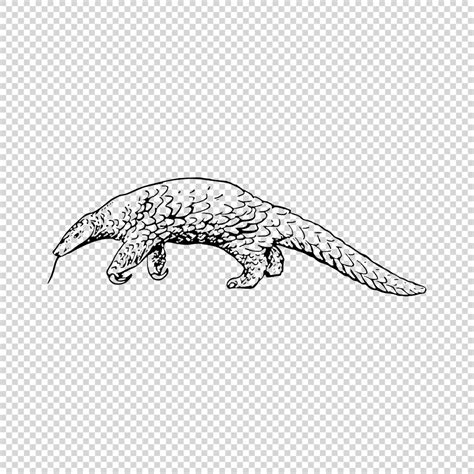 Downloadable: Pangolin Vector images (.svg .png) - TofuJoe