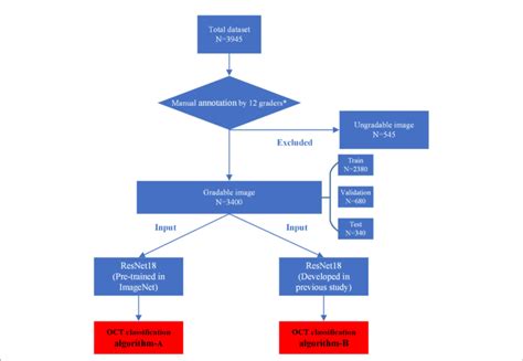 FIGURE Workflow diagram showing the overview of the development process. | Download Scientific ...