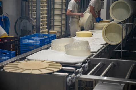 Aging Rooms with Shelves in Cheese Caves, Central Location for Aging of Wheels, Rounds of Comte ...