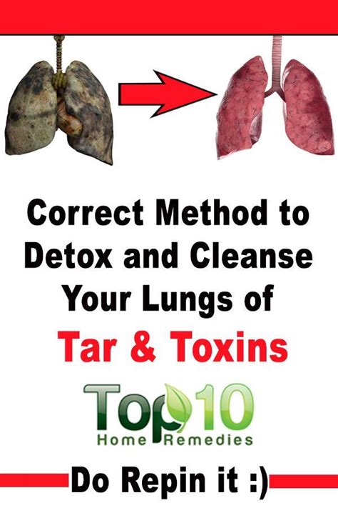 How to Cleanse and Detox Your Lungs | Top 10 Home Remedies | Healthy ...