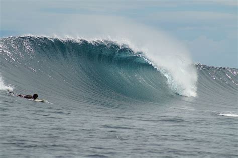 Surf the Solomons — Surf The Earth